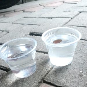 lepasan batu akik getah katilayu tenggelam di air biasa dan terapung di air garam