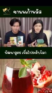 ชาสมุนไพรนพเก้าพลัส ชานพเก้า ชาสมุนไพร คุณค่าจากสมุนไพร 11 ชนิด แบบชงดื่มได้ทั้งร้อนและเย็น ของแท้จากบริษัท 100%