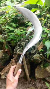 Arit rumput atau sabit padi bahan baja per asli Madura