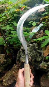 Arit Rumput Sabit Padi Cap Bintang Lima Gagang Lancip