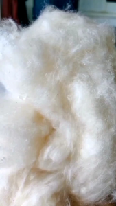 1 Kg Kapuk Randu Asli Murni Kualitas Super Sudah Bersih Tanpa Biji Kiloan Satu Kilo Untuk Isian Kasur Bantal Guling Boneka DLL