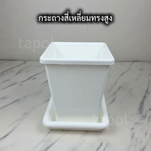 กระถางสี่เหลี่ยมทรงสูง พร้อมจานรอง ขนาด 7 นิ้ว กระถางพลาสติกหนา เหมาะกับต้นไม้ทรงสูง
