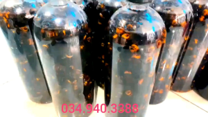 Ong đất ( Ong bắp cày) ngâm ru.ou chai 1Lít hoặc chưa ngâm