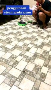 Ready Panggangan Steam Ayam Stim Ayam Penghangat Tubuh dan Bulu Ayam