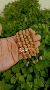 Gelang Kayu Stigi Kombinasi Biji Bidara Asli by Al-Ansor Banten