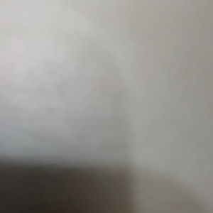 Mini Pottray XD36: Alat Semai Original