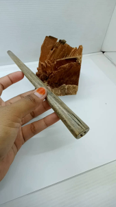cangklong once moncong marlino asli dan original m96