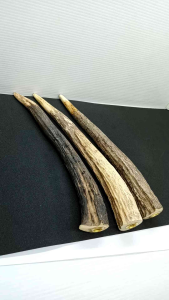 once pipa tanduk RS panjang dan super m105