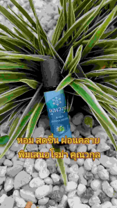 พิมเสนอโรม่า 1 ขวด 10 ml. หอม สดชื่น พกพาสะดวก