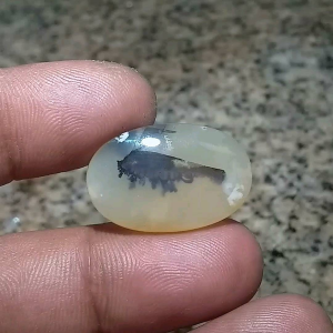 Asli Natural Batu Dendrite Motif 23cm A86