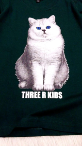 Baju Kaos Anak Gambar Kucing Lucu Lengan Panjang Katun 30s