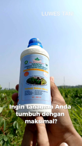 Hantu Hormon Biru 500ml tanaman unggul multiguna exclusive