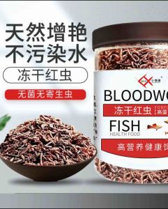 High Protein 55% Dry Red Worm suitable for all the ornamental fish Guppy MollyZebraSwordtailsBettaAngel fish and etc