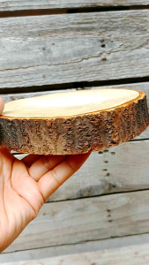 เขียงไม้ติดเปลือก เขียงไม้ เขียงเปลือกไม้ ถาดไม้มะม่วง จานรองไม้ ถาดไม้  จานไม้ ผลิตในไทย ไม้มะม่วงติดเปลือกแบบธรรมชาติ