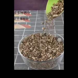 10L Vermiculite Succulent Soil CACTUS STONE granular Soil Reptile Incubation Egg