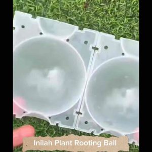 Plant Rooting Ball Propagating Device Garden Fruit Tree Seeding Propagating Device