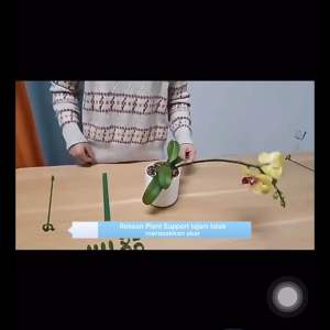 Plants Support Stand Holder Flower Plant Stakes Sticks Garden Flower Stand Plant stem Climbing