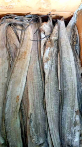 Ikan Asin LAYUR Panjang Murah 1 kg