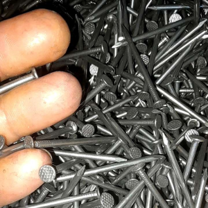 Paku Kayu Berkualitas Tinggi 5cm/7cm/10cm (1kg)