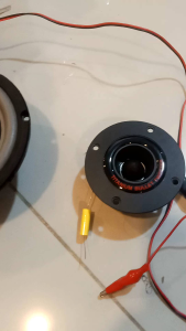 AUDIO SPEAKER DRIVER TWEETER TITANIUM BLACK PANTHER ORIGINAL