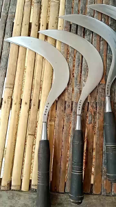 arit rumput bintang 5 super