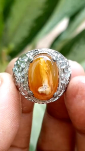 Asli Batu Cempaka Madu Motif Antik 18cm Ring