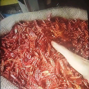 CABE TEJA MERAH KERING NON TANGKAI PEDAS BERKUALITAS