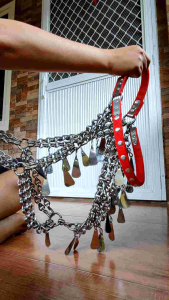 Horse Accesory Stainless Double SPL Design