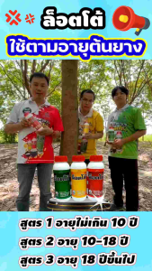 ล็อตโต้ ปุ๋ยทาหน้ายาง 500.cc เลือกใช้ตามอายุต้นยาง