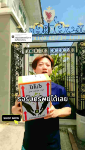 กวักมรกตด่างชำใบมีหัวแล้วทกต้น (Zamioculcas Zamiifolia Variegated หนึ่งในไม้ด่างมงคลขวัญใจนักสะสมต้นไม้ ปลูกแล้วร่ำรวย มีโชคลาภวาสนา