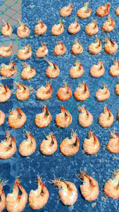 กุ้งฝอย กุ้งแห้ง กุ้งขาวจืด ขนาด500กรัม