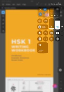 Laruche’s Easy Peasy HSK1 Workbook