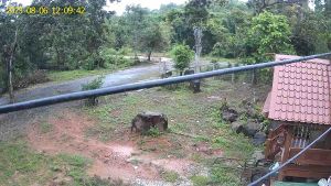 กล้องวงจรปิดโซลาร์เซลล์รองรับWIFI