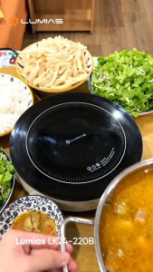 Bếp từ đơn Lumias LK24-220B