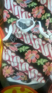 Baju Kucing Anjing Batik