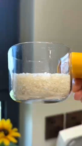 Insect-Proof Grain Scoop PET Kitchen Rice Scoop