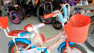 Sepeda Anak Perempuan Mini 12 inch