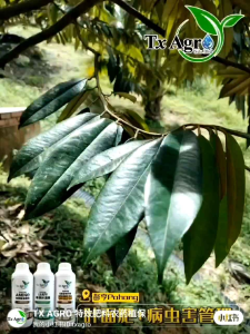 Special Amino Acid Essence Organic Foliar Fertilizer 氨基酸精华，叶面肥