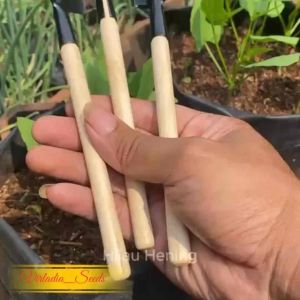1 Set Alat Berkebun Mini | Garden Tool 3 in 1  (Sekop LancipSekopGarukan)