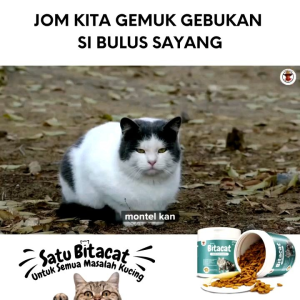 [ORIGINAL HQ  FREE SHIPPING ]BITACAT VITAMIN MULTIVITAMIN FOR CAT VITAMIN KUCING