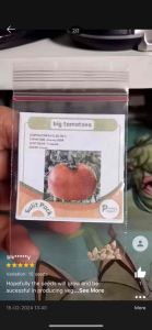 BIG TOMATOES FLORDADE Seeds: A Comprehensive Guide