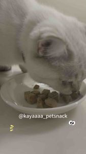 500G Pet Snacks Freeze Dried Duck liver Premium Pet Treats Pet foods Dog treats cat snacks treats Beku Kering itik hamster 宠物冻干零食鸭肝粒