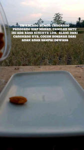 Kacang Almond cangkang rasa susu panggang siap makan camilan sehat untuk keluarga dari anak anak sampai dewasa cemilan oleh oleh haji dan umroh