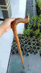 Desain Unik Tongkat Jalan Kayu Kelor Emas Motif Payung Profil Bubut H447
