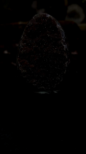 🇲🇾🈶sugar shine dragon egg natural rare purple 100%👍🏻满天星软糖紫晶龙蛋 🆓底座  龙蛋高: 9cm  宽: 6.5x6cm  净重: 470g 含底座高: 14cm  底座宽: 7x7cm  总重: 640g