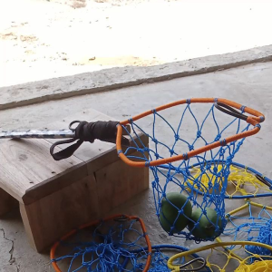 Alat Petik Buah  Pohon Tinggi Buah Mangga Alpukat