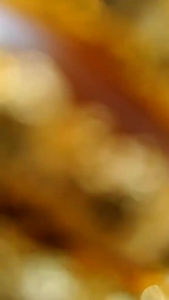 GELANG KRONCONG ULIR DEWASA PERHIASAN DUBAI TERBARU