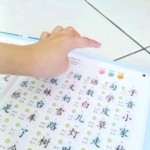现货点读充电式有声音学习华语单字书/生日礼物/识字大王2000字