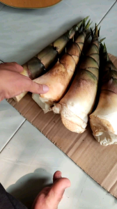 READY STOK rebung sayur/bambu muda per 1kg