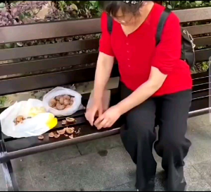 Jaya PEMBUKA KACANG Portable: Alat Pemecah Kacang Praktis & Mudah